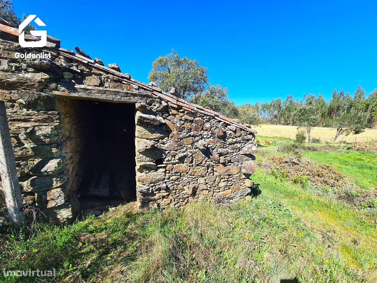 Quintinha  Venda em Fratel,Vila Velha de Ródão - Grande imagem: 4/23