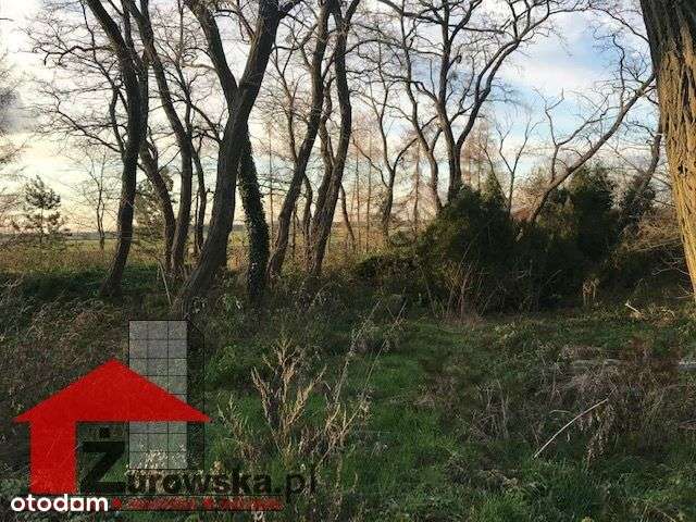 Działka nieopodal malowniczych terenów rezerwatu - Pełny obrazek: 5/12