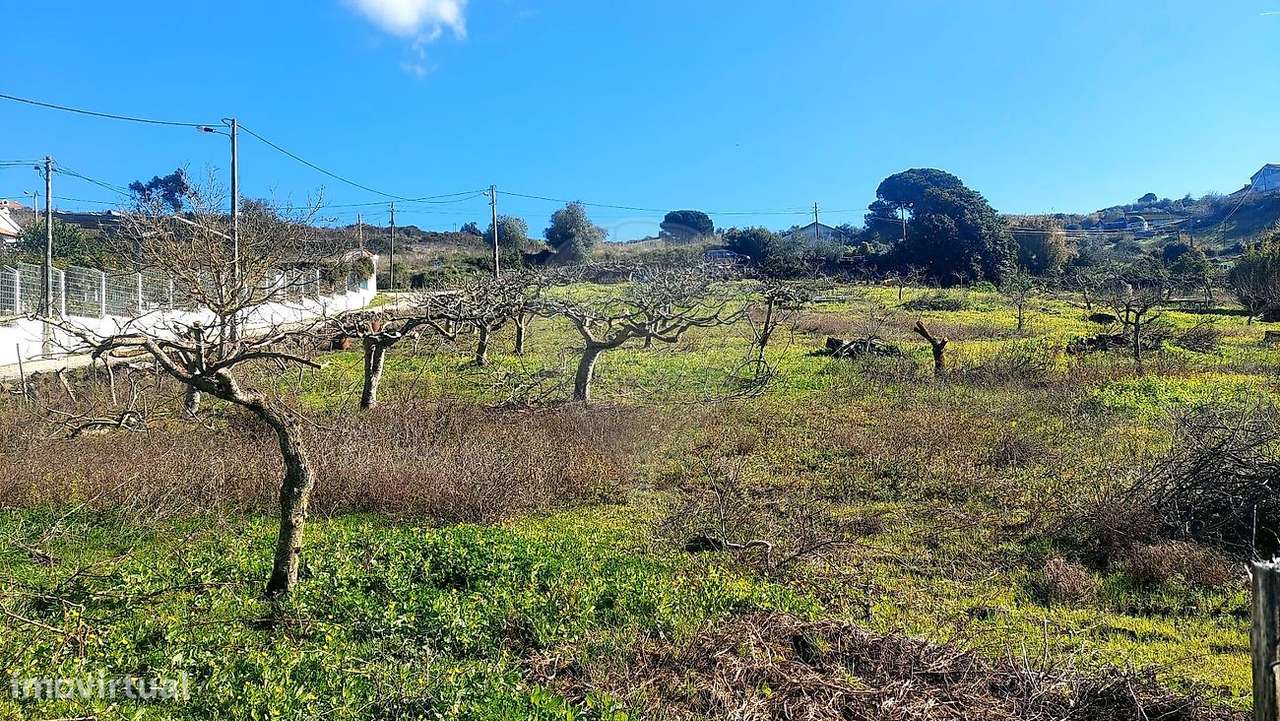 Terreno  para venda-20