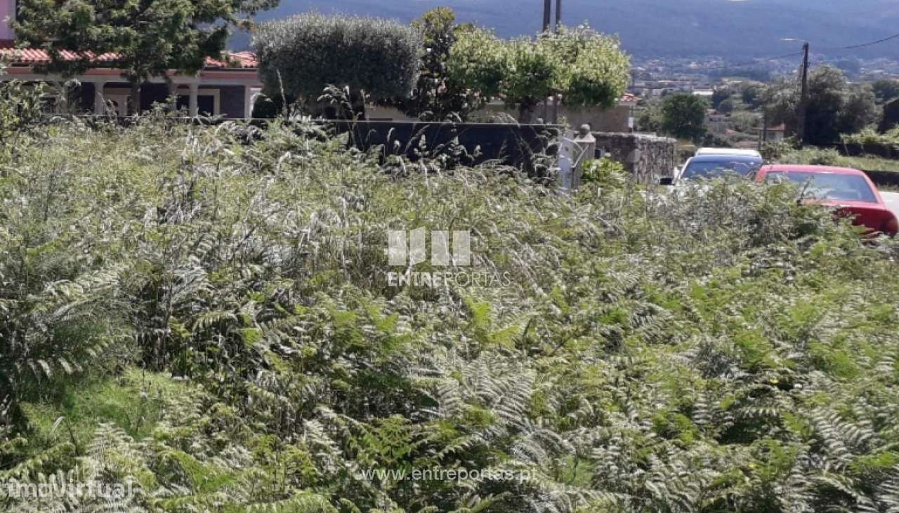 Venda de Terreno, Fragoso, Barcelos. - Grande imagem: 5/31