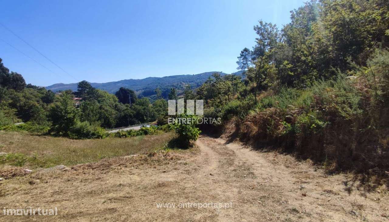 Venda Quinta com Moradia para reconstruir, Campelo, Baião - Grande imagem: 5/20