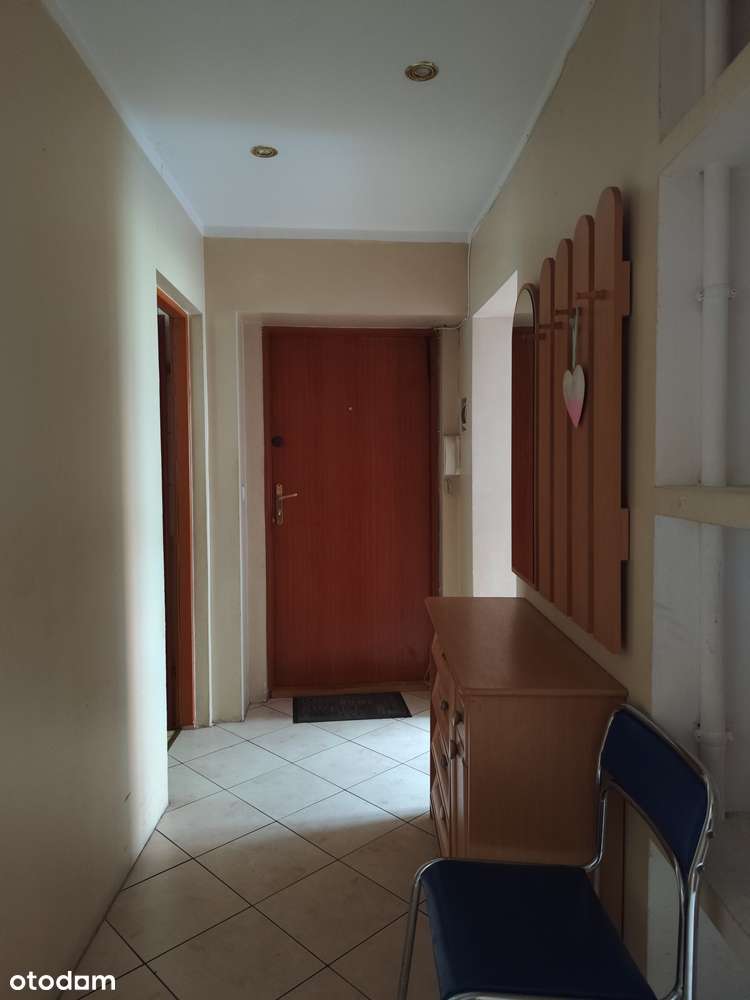 2 pokoje, wysoki parter, ogrzewanie gazowe, blisko parku Kachla BYTOM-9