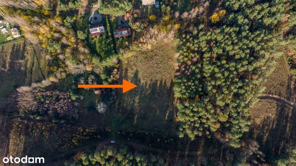 Klimatyczna duża działka blisko jeziora i lasu-4