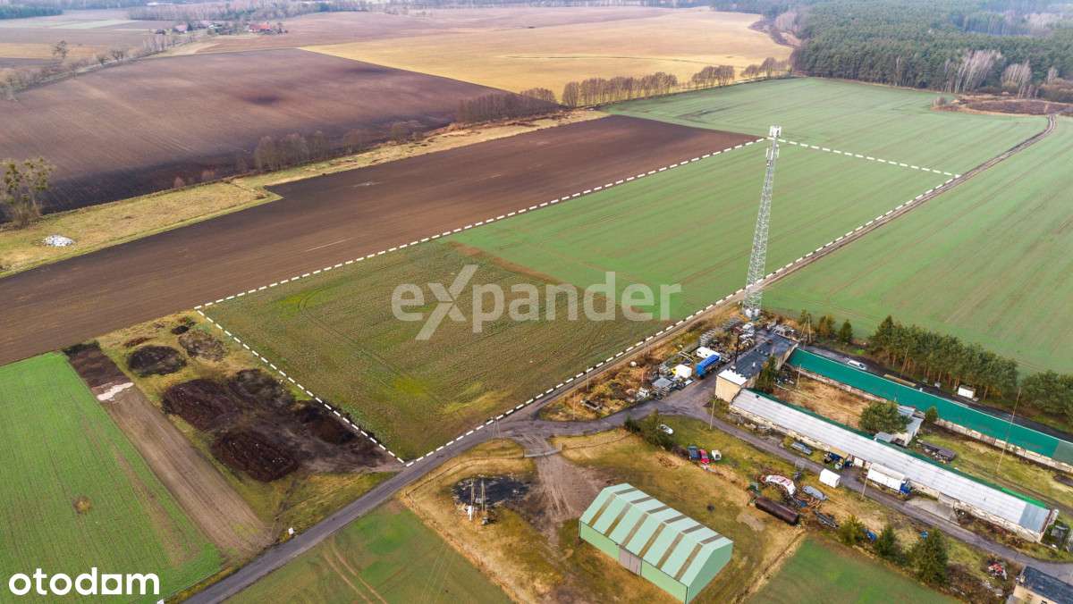 działka Miłocice sprzedam - Pełny obrazek: 4/5