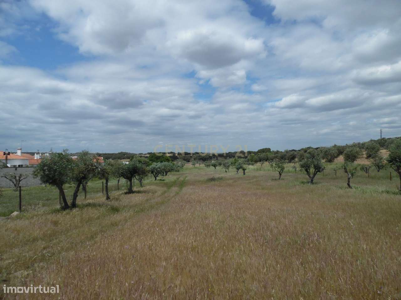 Quinta em Capelins,  Alandroal - Évora,  Oportunidade Única-34