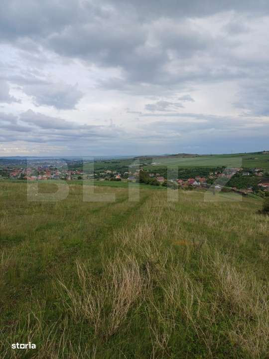 Teren extravilan 1248 mp in Copaceni! Oportunitate investitie! - Imagine principală: 2/4