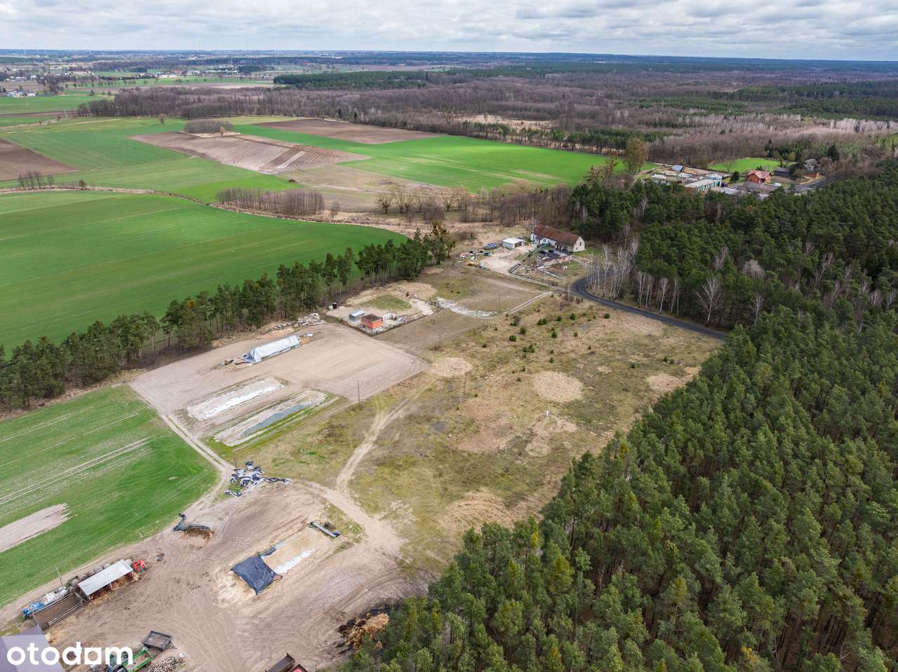 Las za oknem, śpiew ptaków w gratisie, oaza spokoju/Murzynowo Leśne - Pełny obrazek: 5/8
