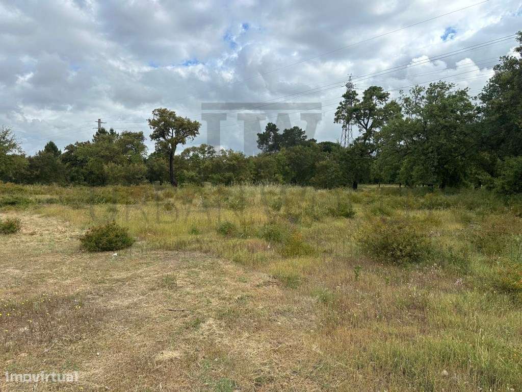 Terreno Industrial C/ PIP Aprovado, Palmela - Setúbal, 10.471 m2-3