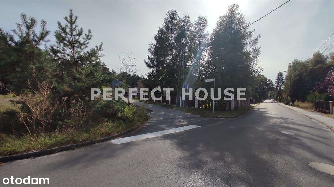 Puszczykowo intymna działka przy lesie - Pełny obrazek: 5/9