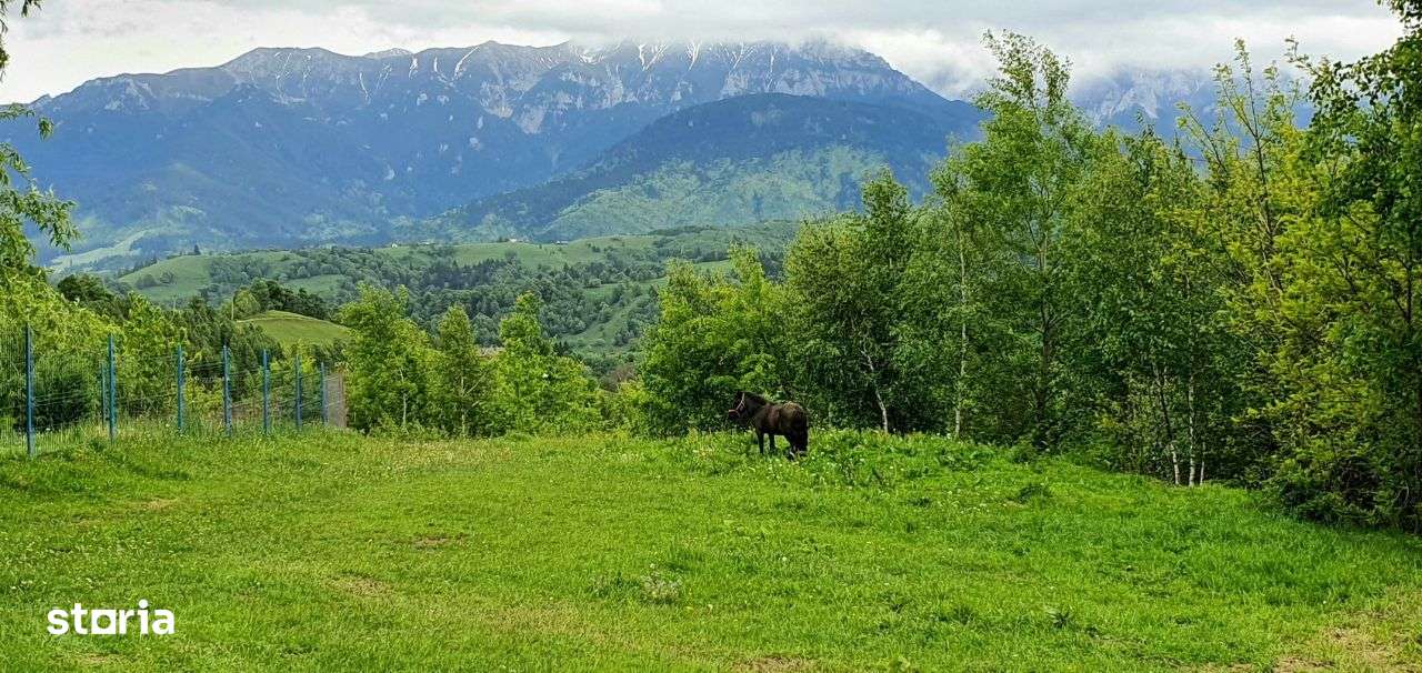 Teren casa de vacanta , Pestera , Brasov-5