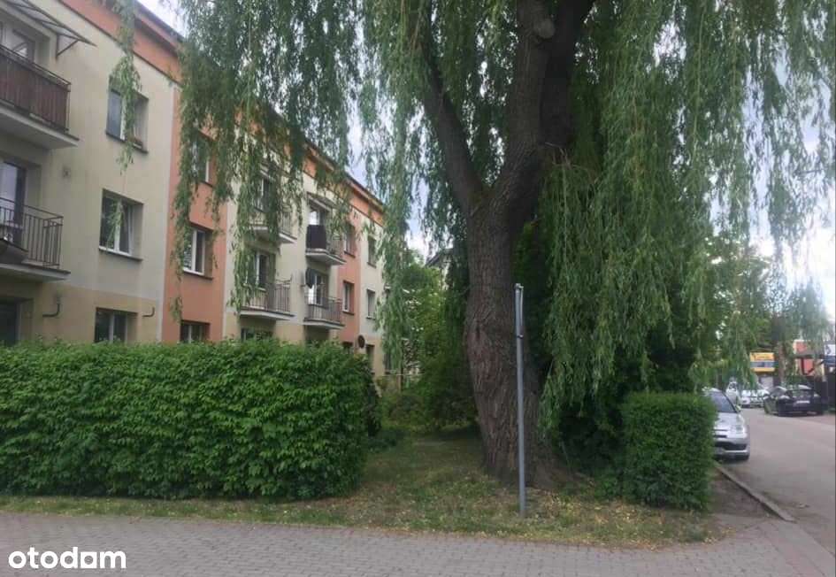 Przytulne 2-pokojowe mieszkanie z balkonem + piwnica + duży strych - Pełny obrazek: 2/7