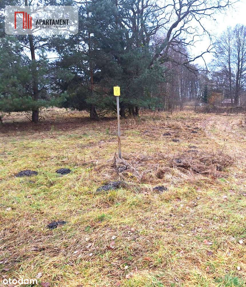 Działki budowlane z WZ w Murowańcu - Pełny obrazek: 3/7