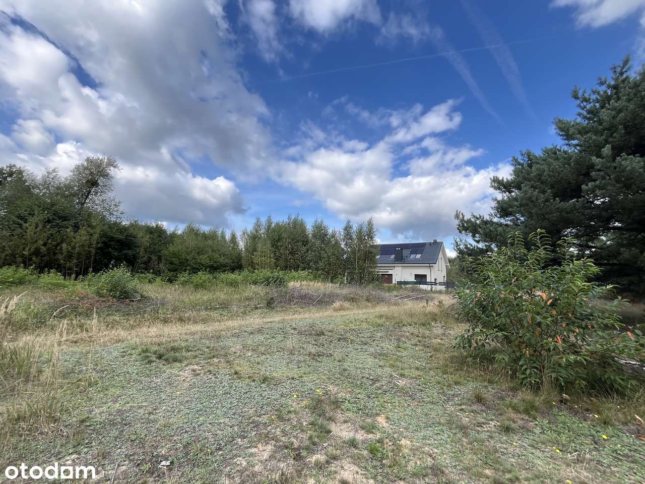 Działki budowlane w lesie blisko Wrześni Psary-0