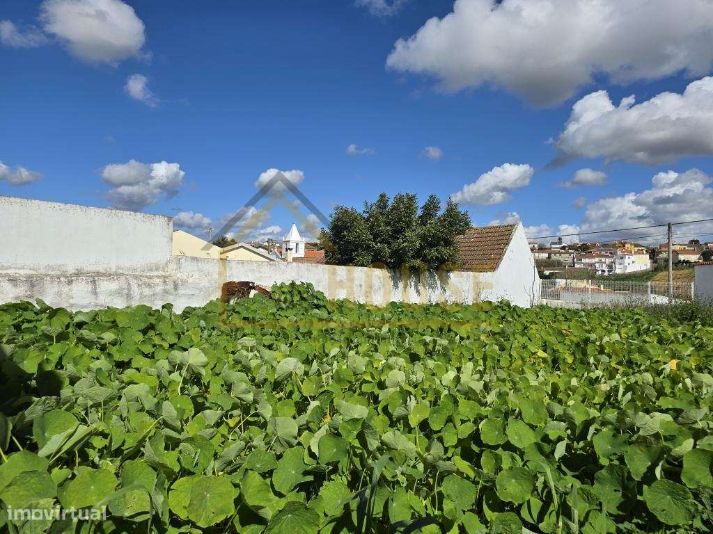 Moradia Térrea T3 perto das Praias - Grande imagem: 5/29