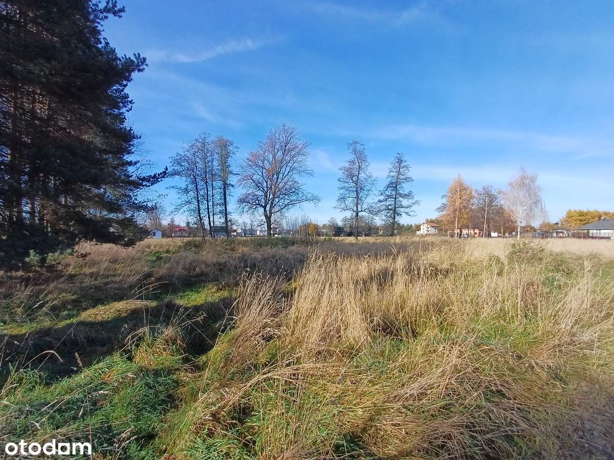 Płaska atrakcyjna działka o pow. 1250 mkw, Zaborze, gm. Chybie-8