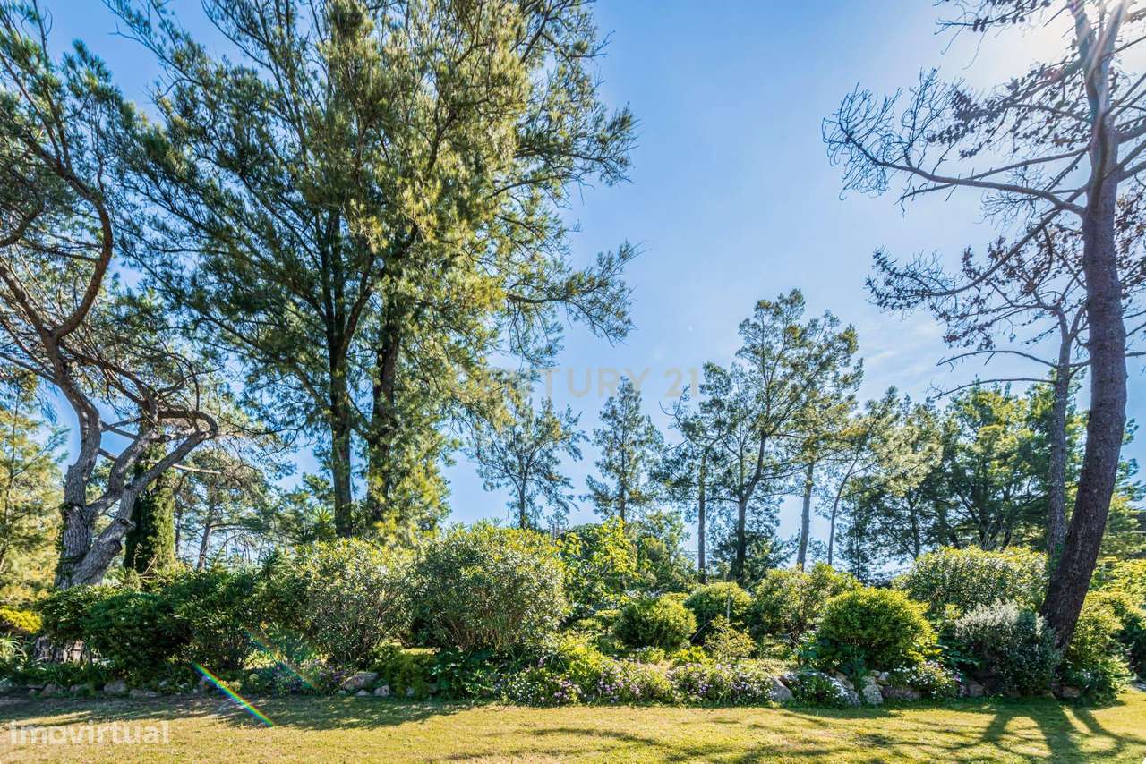 Moradia T12 e terreno 7100 m2-4