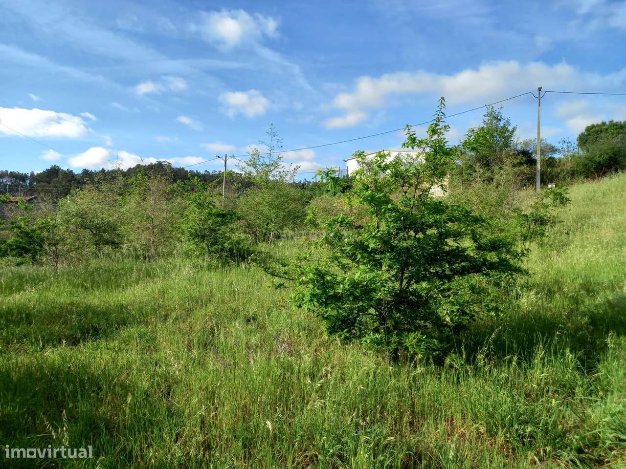 Terreno com 800 m2 em Barbas Novas - Grande imagem: 5/15