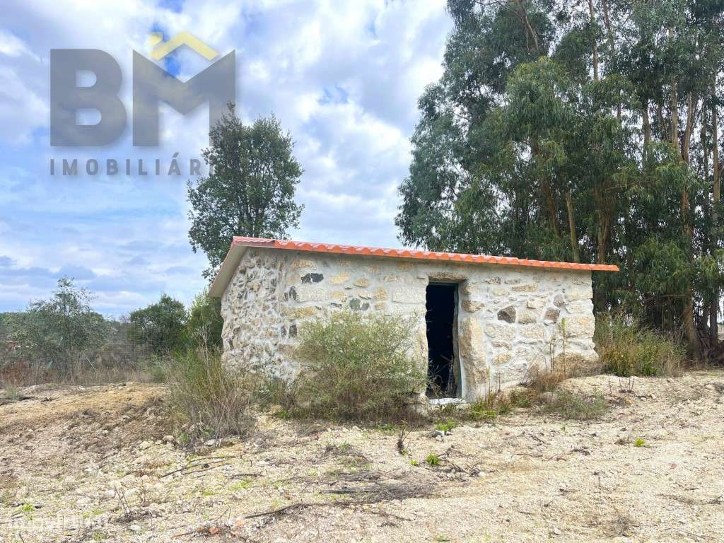 Quinta com 4.5ha e construção rural em São Miguel Acha (Idanha-a-Nova) - Grande imagem: 4/26