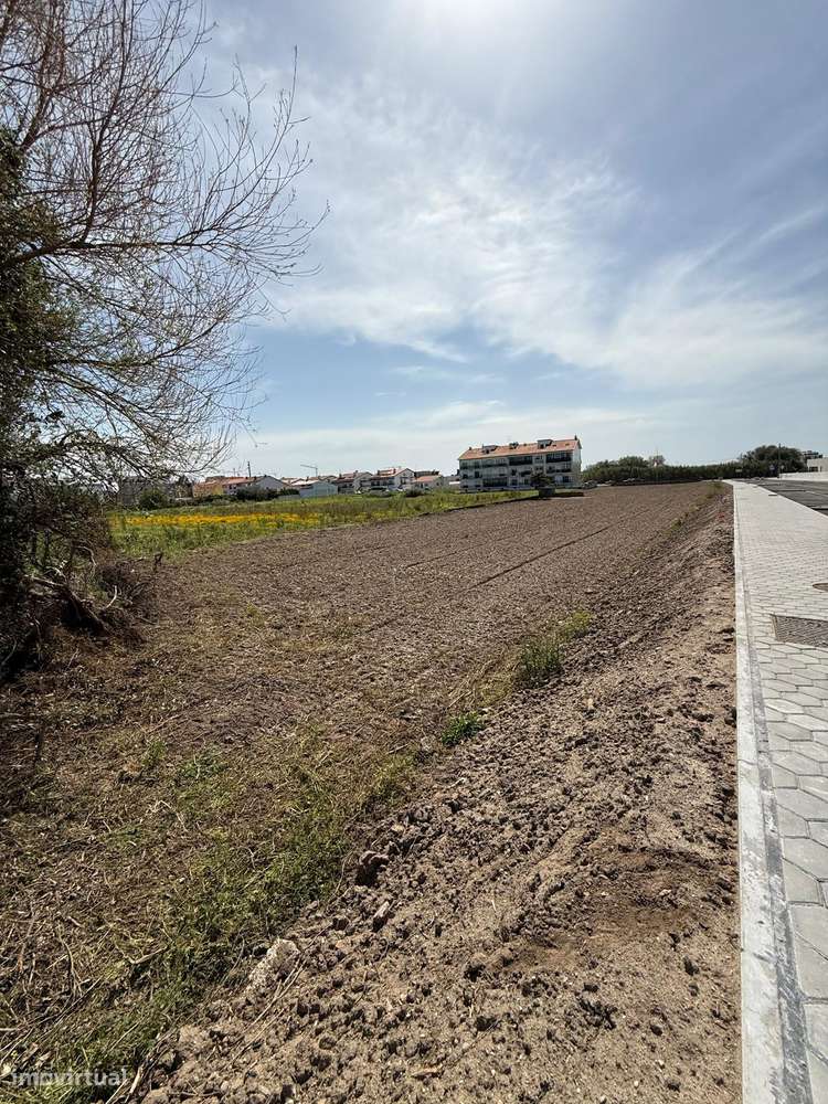 Terreno para Construção em Ílhavo. - Grande imagem: 4/14