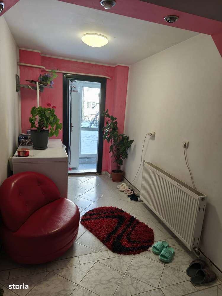 Apartament 2 camere Primaverii , parter , mobilat si utilat , garaj-4