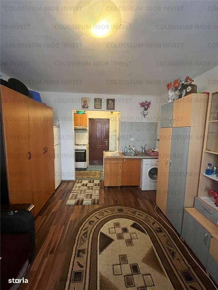 Zona Tractorul garsoniera (camera de camin cu baie si bucatarie ) - Imagine principală: 4/7