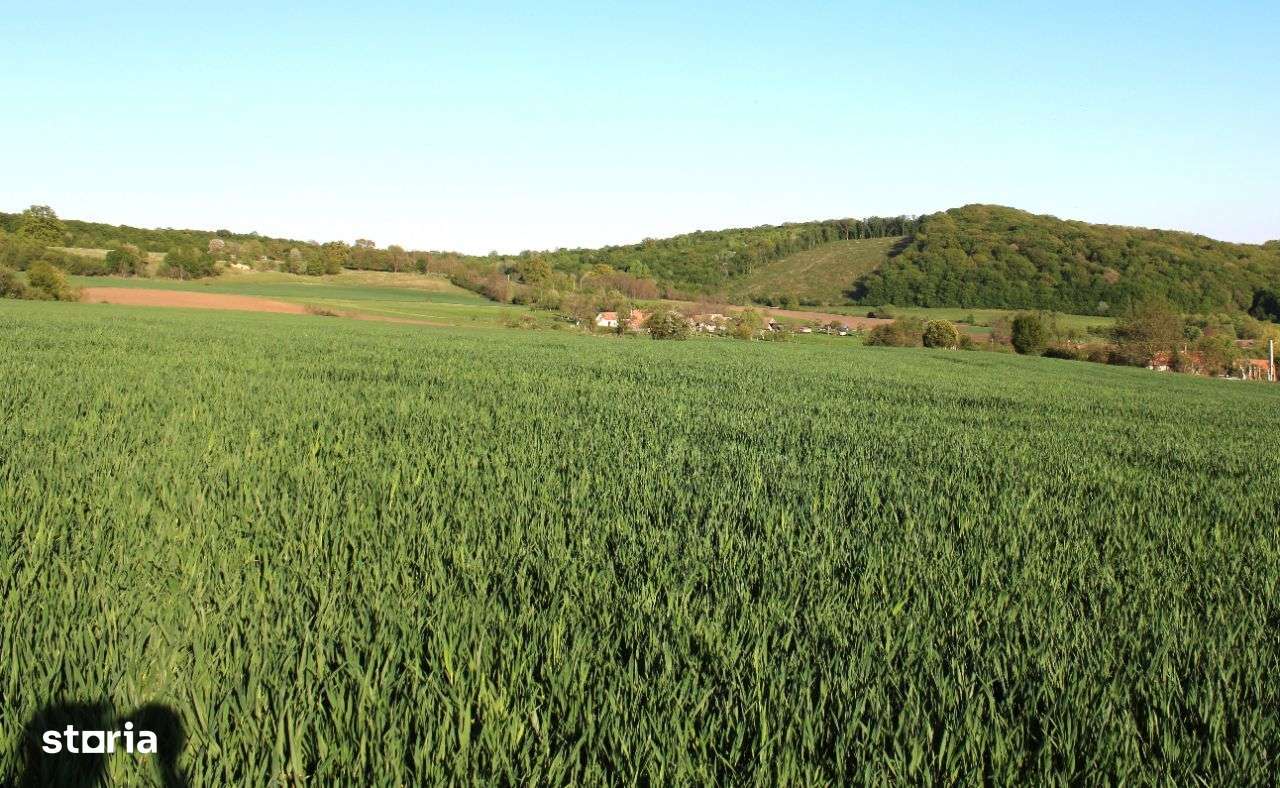 Casa de vanzare - Mosie - Livada-15