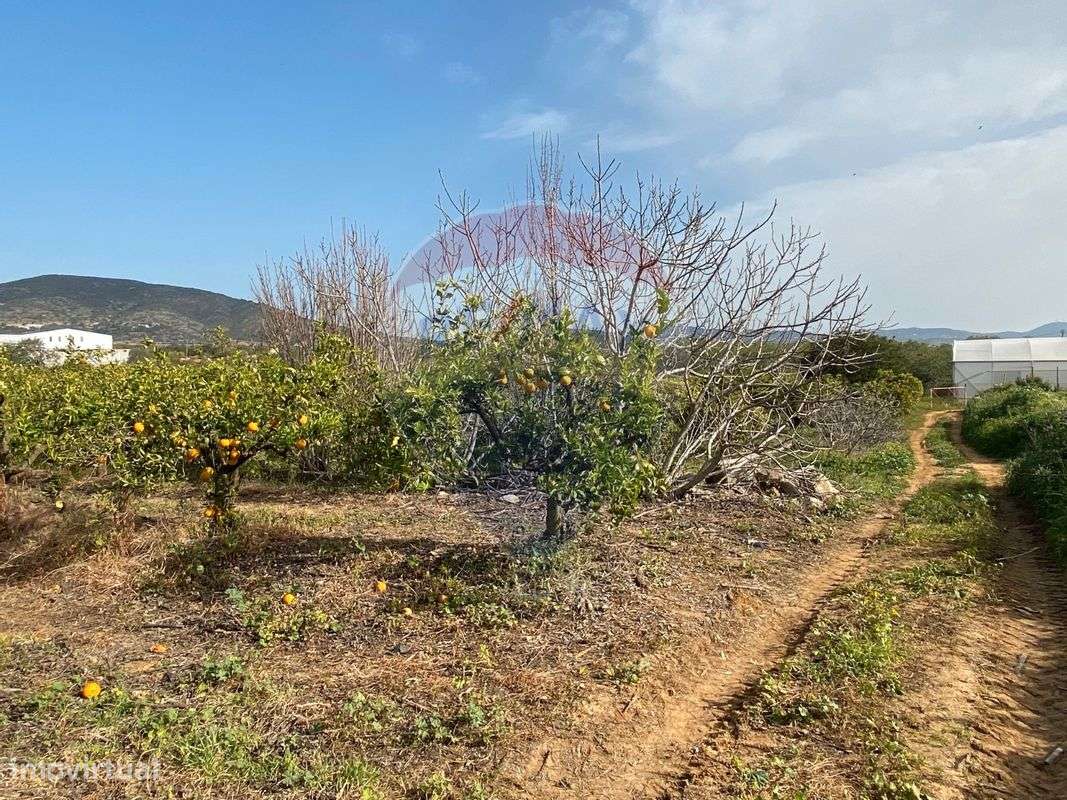 Terreno  para venda - Grande imagem: 3/10