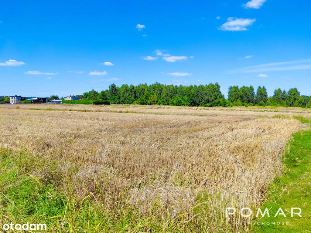 ★ Tylko u nas! Piękna działka - Książenice - Pełny obrazek: 1/8