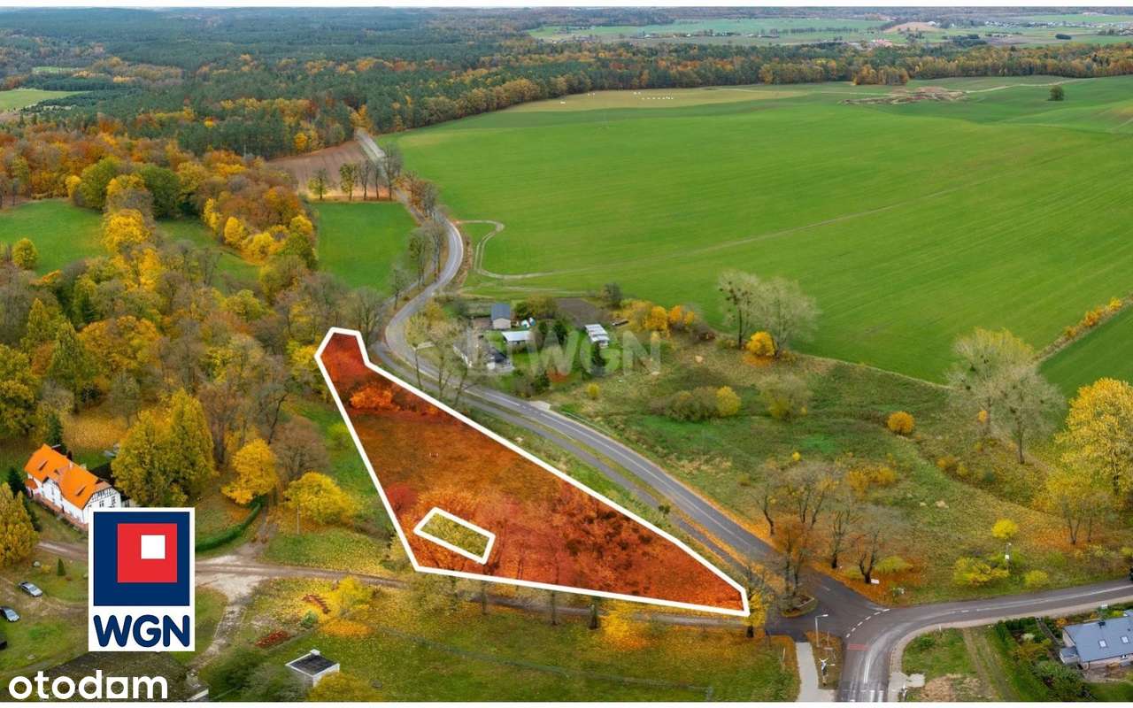 Na sprzedaż, Gospodarstwo Rolne- Ekologiczna Farma Mleczna, Wyczechowo-19