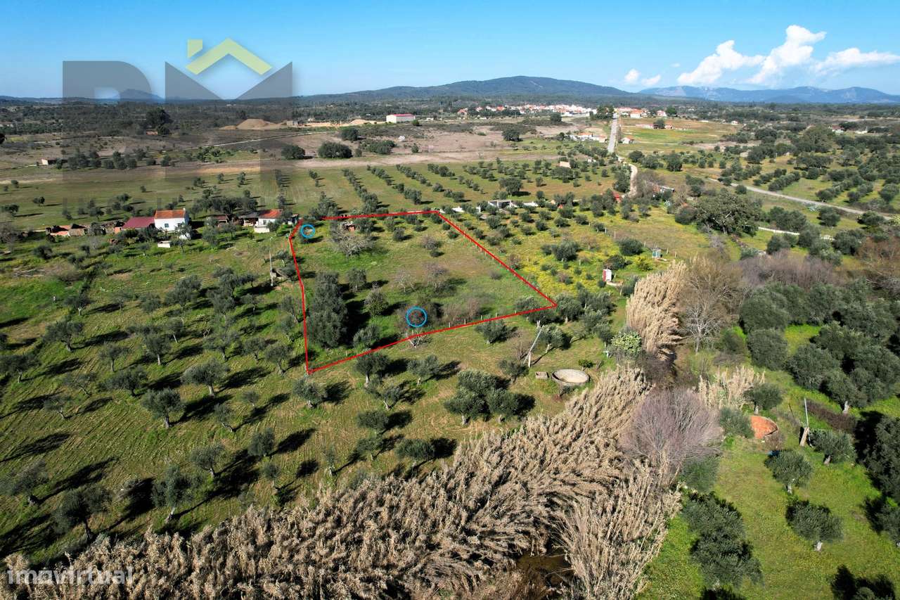 Terreno Rústico  Venda em Toulões,Idanha-a-Nova - Grande imagem: 3/28