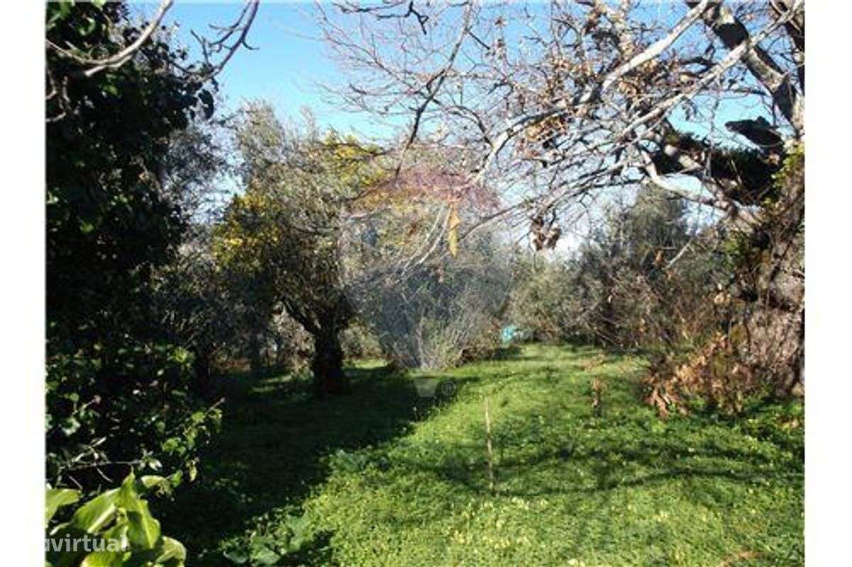 Moradia para recuperação - Grande imagem: 4/10