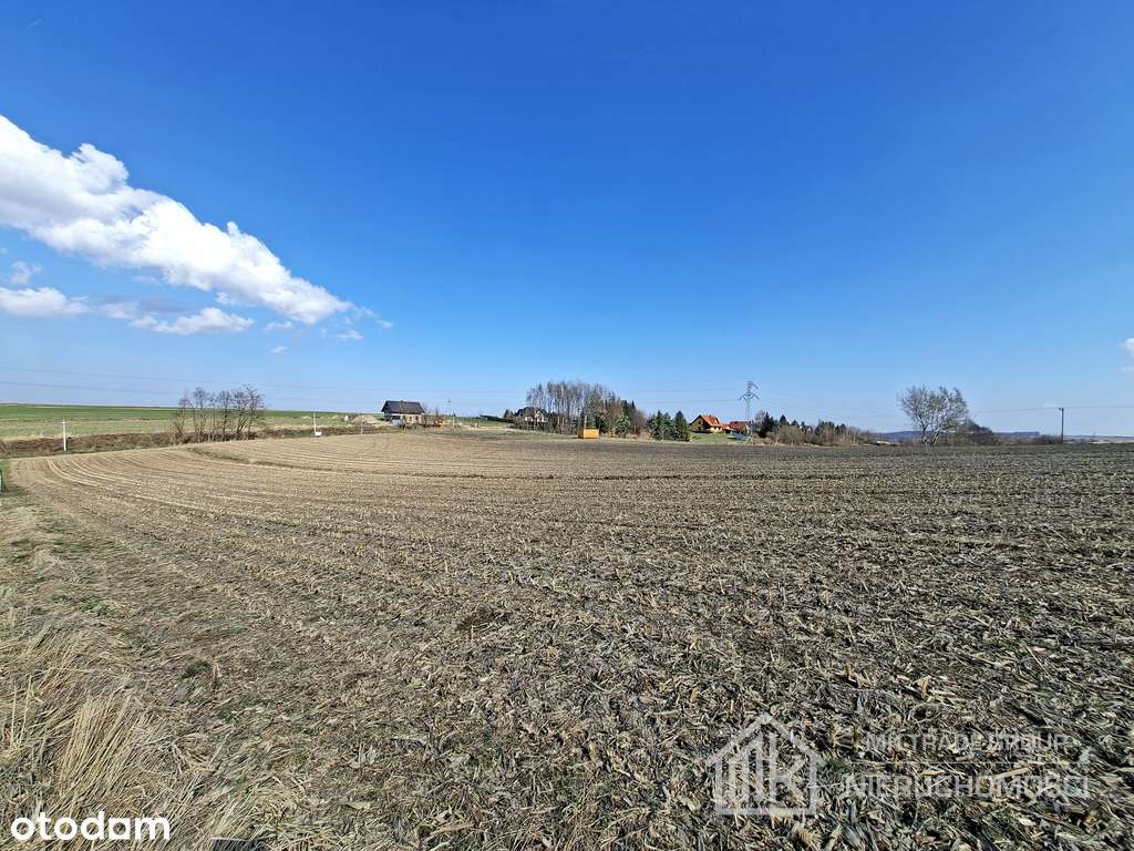 Bodzanów ok. Wieliczki działka bud. 25a MN +56a R - Widok 2
