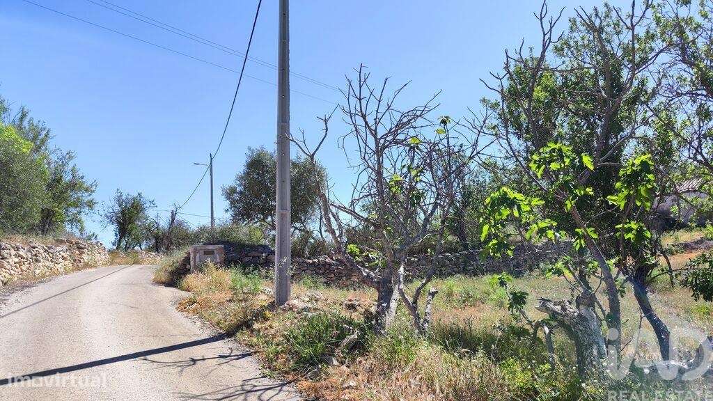 Casa de Campo T3 em Paderne de 300,00 m2 - Grande imagem: 4/15