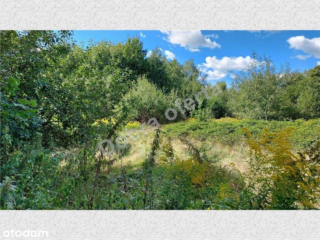 Dobra inwestycja - Pełny obrazek: 5/8