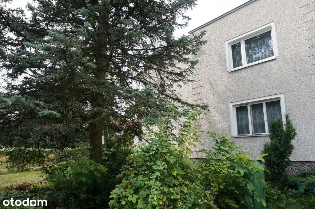 Dom dwulokalowy w centrum Piaseczna