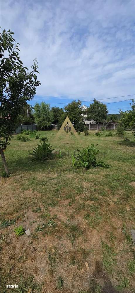 Teren intravilan + extravilan 10.537 mp – casa, livada sau ferma de fa-13