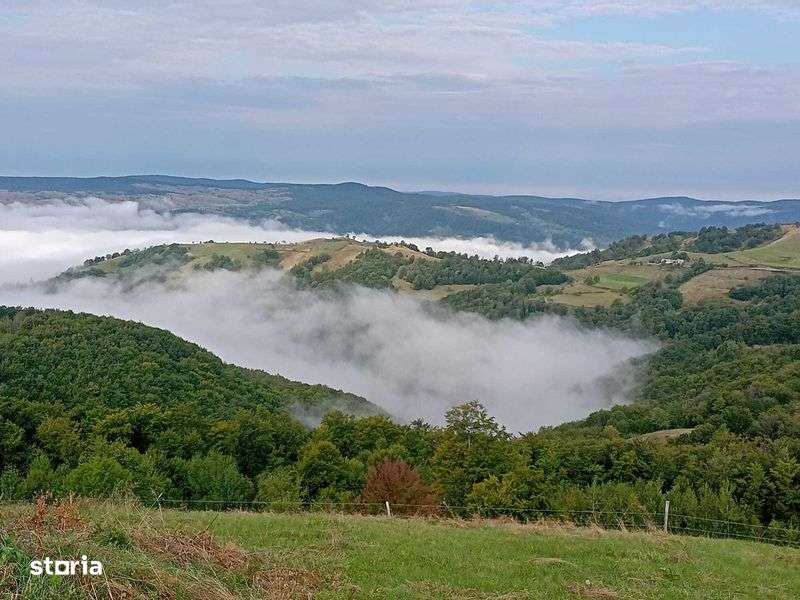 Vand casa batranesca Sopotul Nou si 24ha pasune total 125000euro - Imagine principală: 5/8