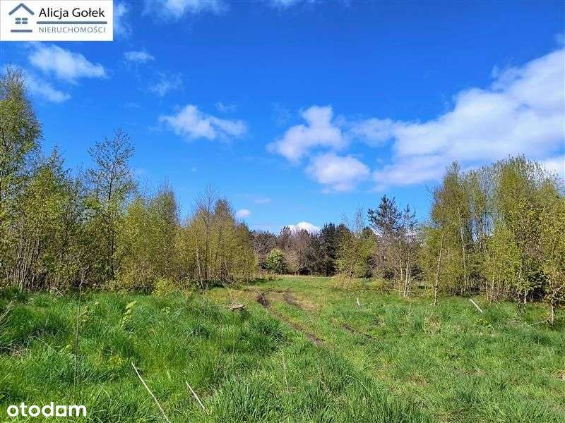 Osieki- piękna działka 1.060m2 na Jeziorem Jamno - Pełny obrazek: 5/13