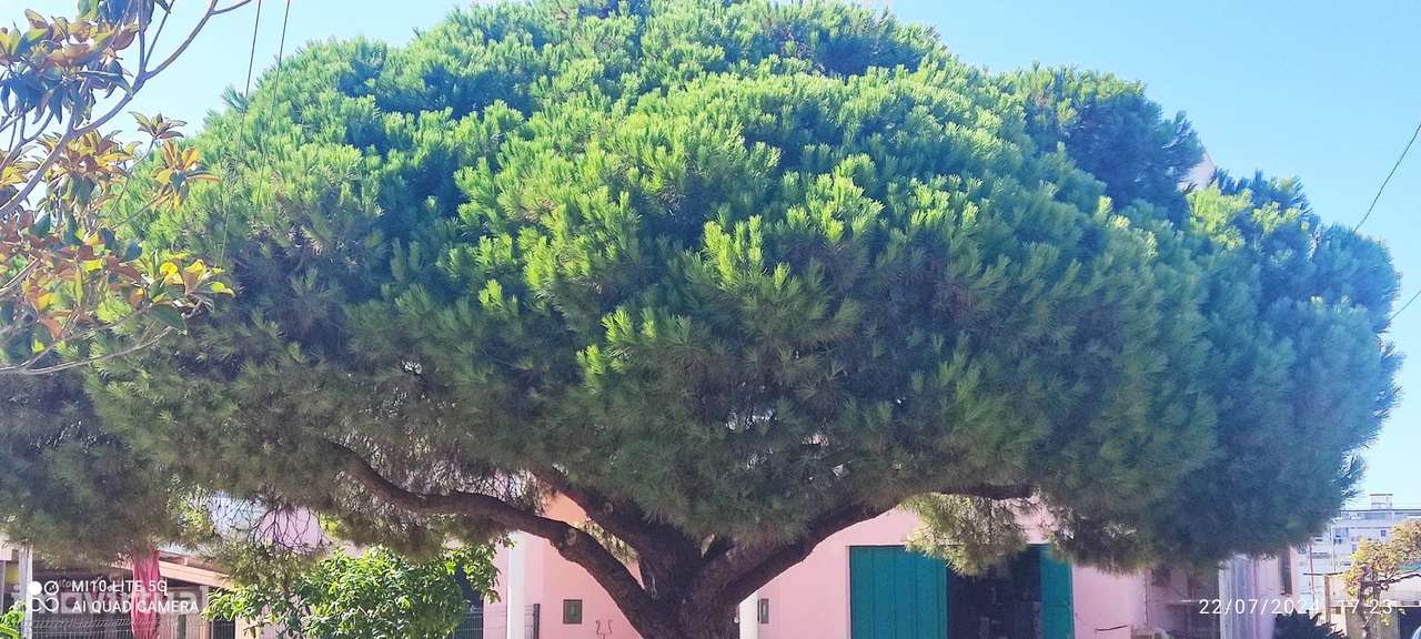 Moradia + Terreno P/ Construção-11