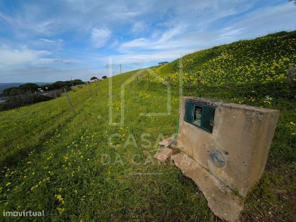 Terreno com 1.2 hectares em Vila Ruiva-6