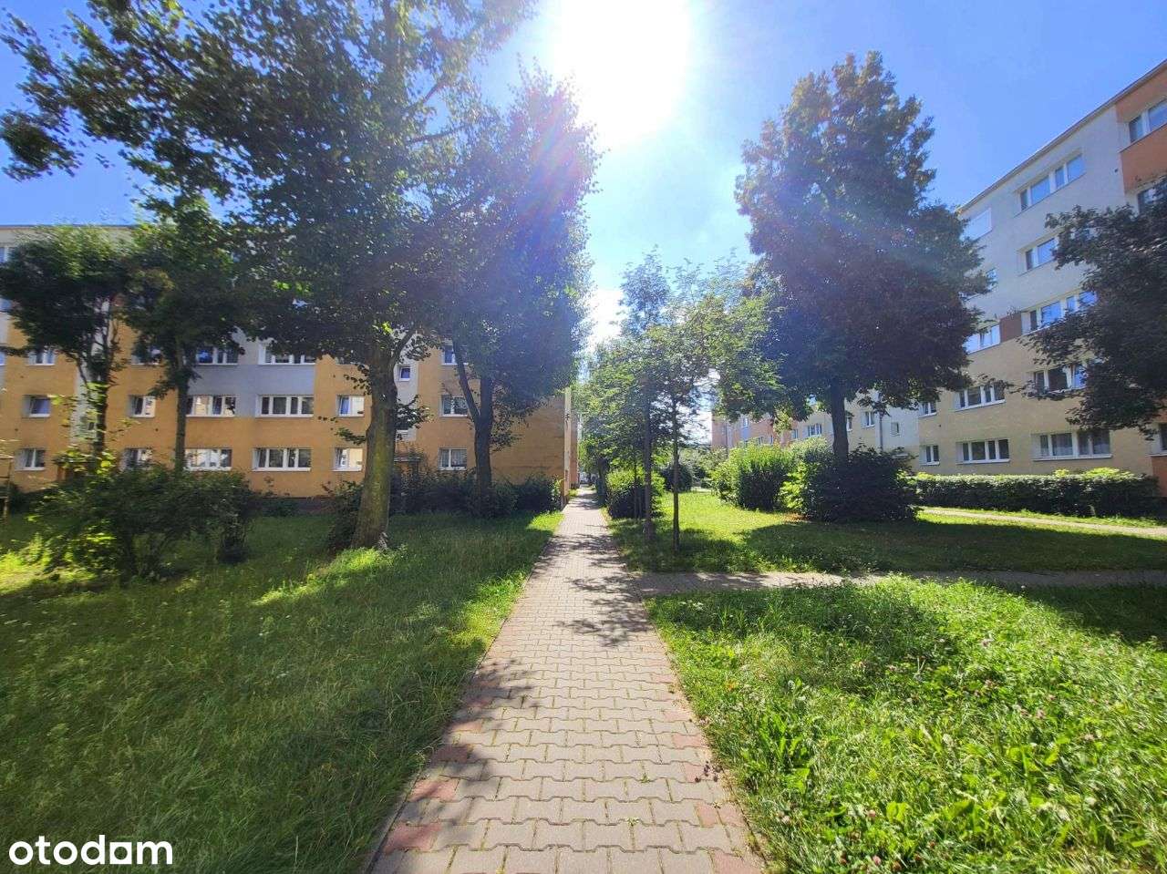 Słoneczne, w pobliżu parku i komunikacji miejskiej-11