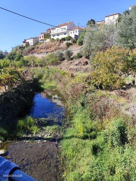 Terreno Pequeno Silvares - Grande imagem: 5/9