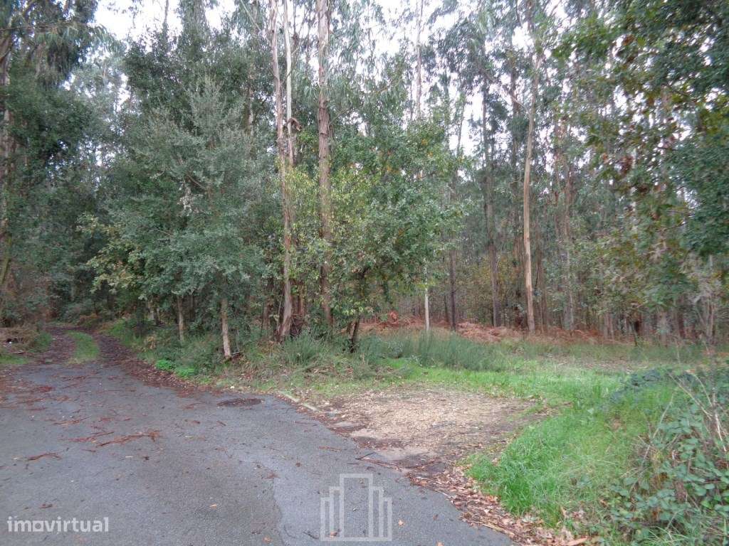 Terreno - S. V. Pereira Jusã - Grande imagem: 3/5