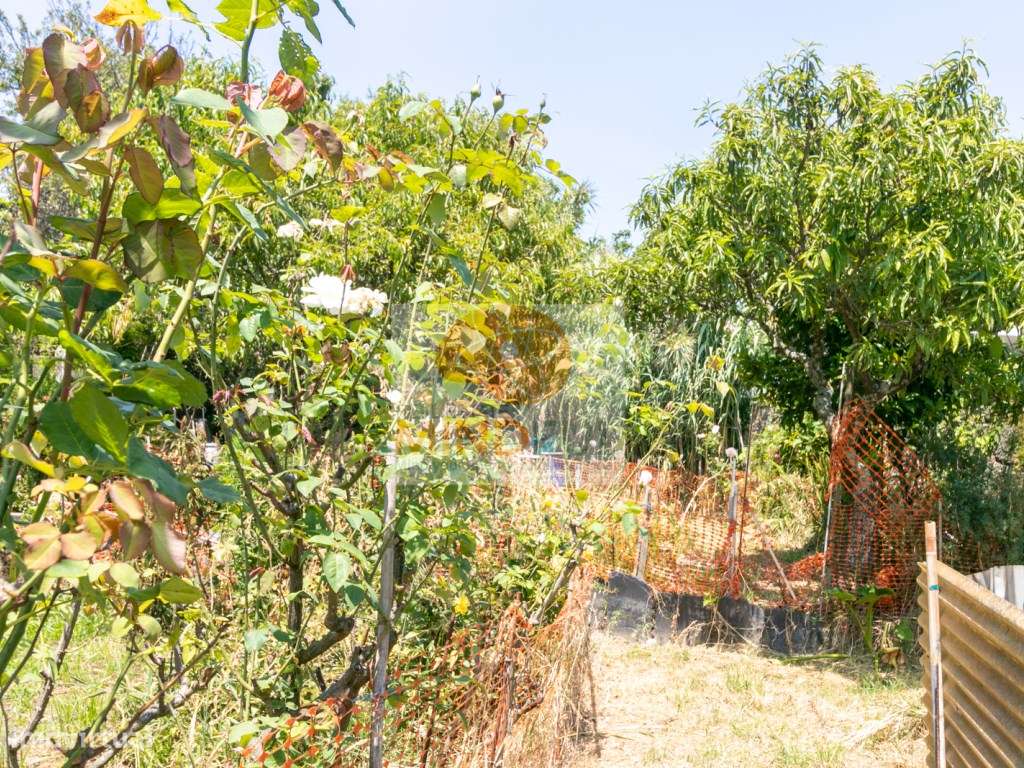 Venda Terreno Urbano Rua 5 de Outubro no Centro Histórico do Porto ...-14
