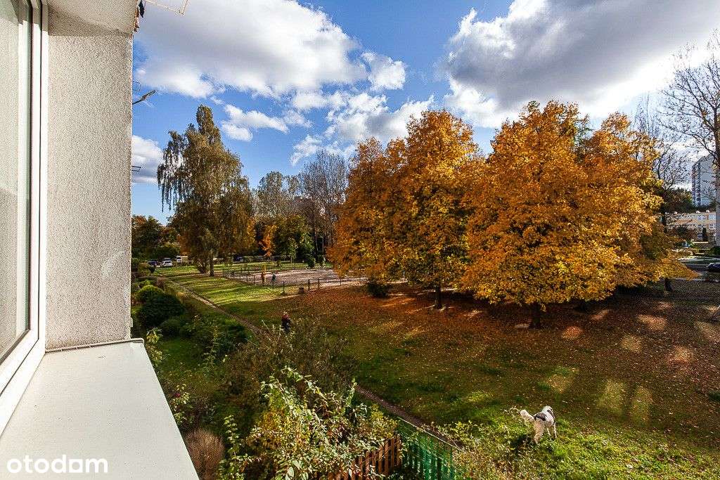 2 pokoje | 1 piętro | dwustronne-14