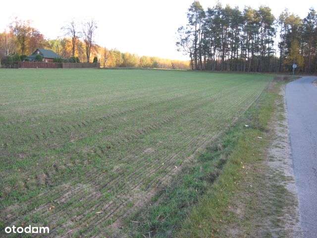 Działka budowlana 1500m2 MPZP - Pełny obrazek: 4/11