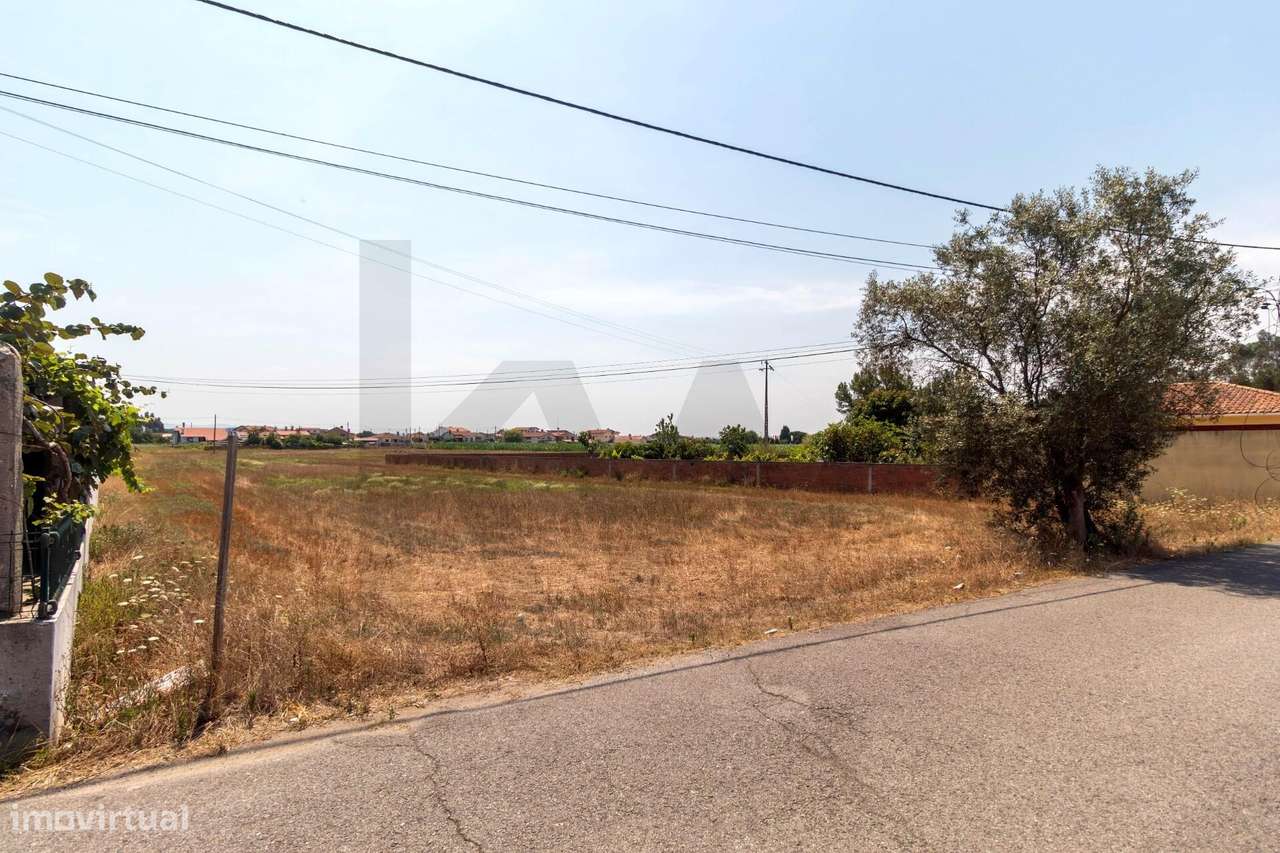 Terreno com Potencial para 2 Moradias | 3.600 m2 | Excelente Localizaç-15