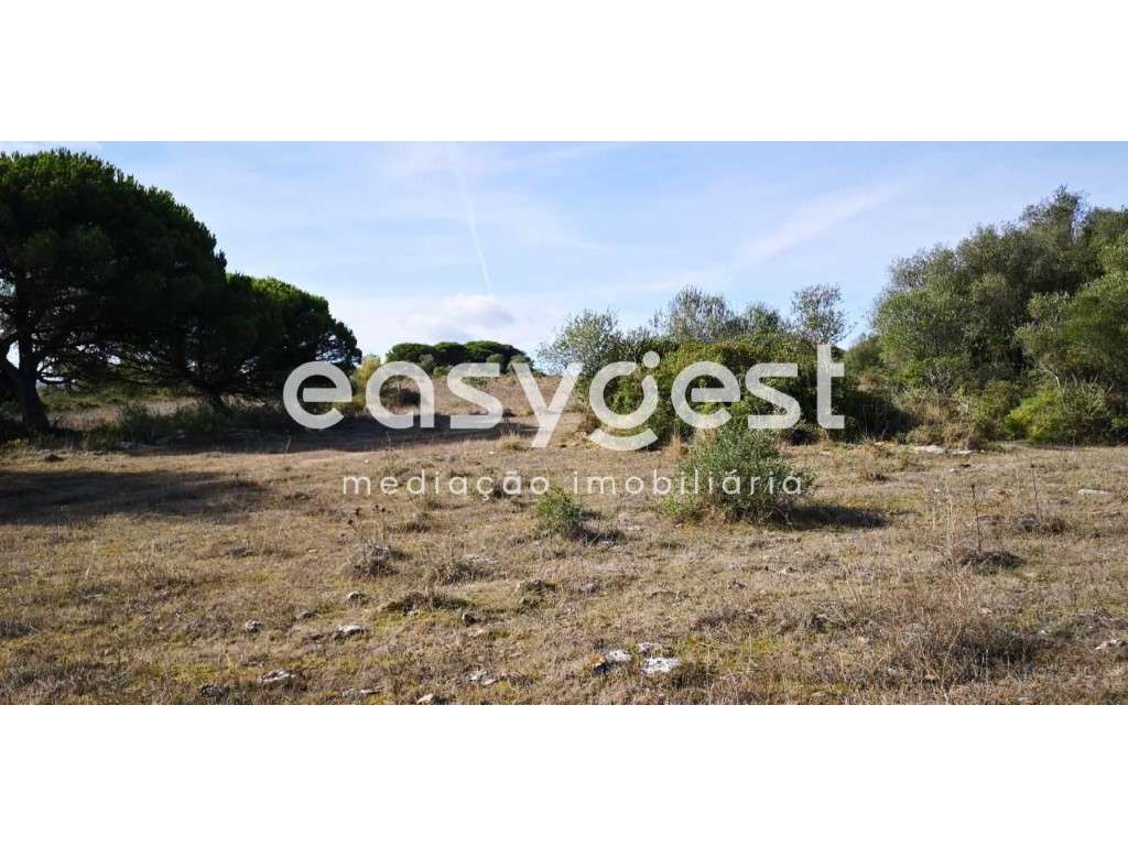 Terreno com 8120m2 e vista magnifica em Casal da Granja, Sintra - Grande imagem: 4/6