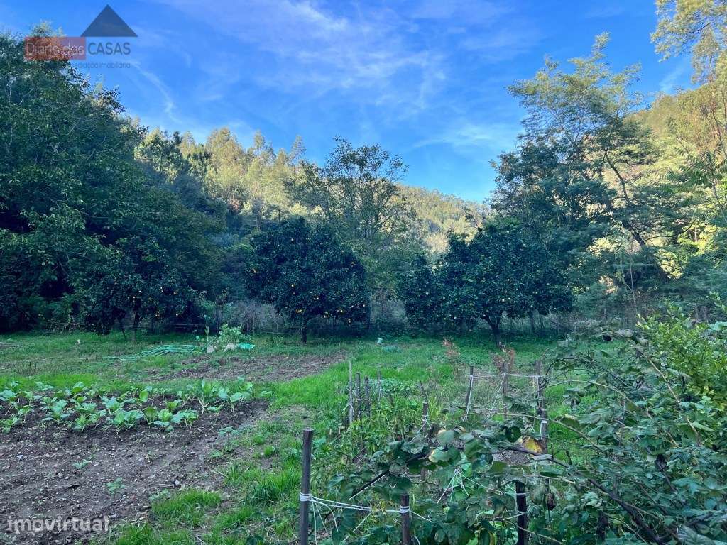 Lagar em Coimbra - Torres do Mondego (Coimbra) Portugal-17