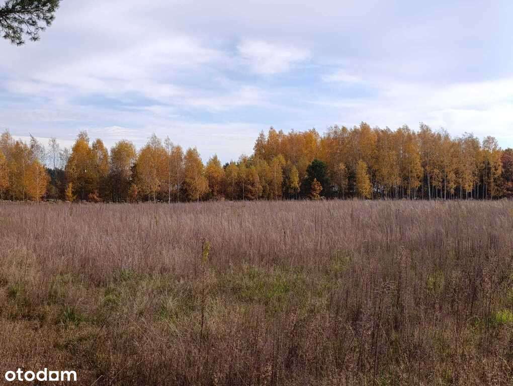 Działka budowlana w Dąbrówce Wyłazy, przy lesie-10
